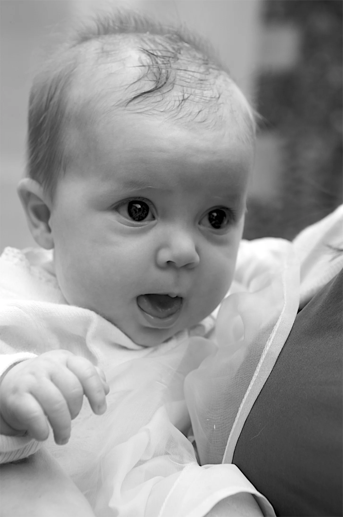 IMG_8214 - Version 2.jpg