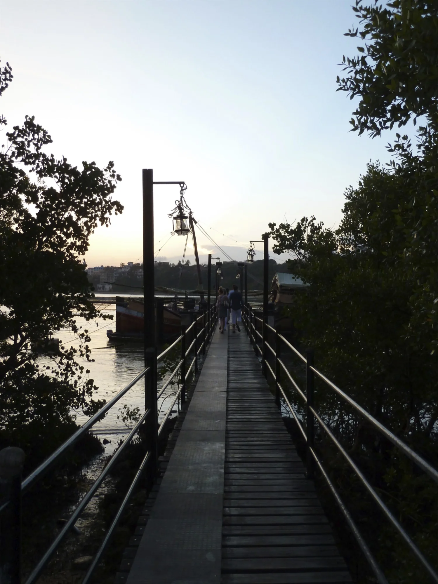 P1030028.jpg