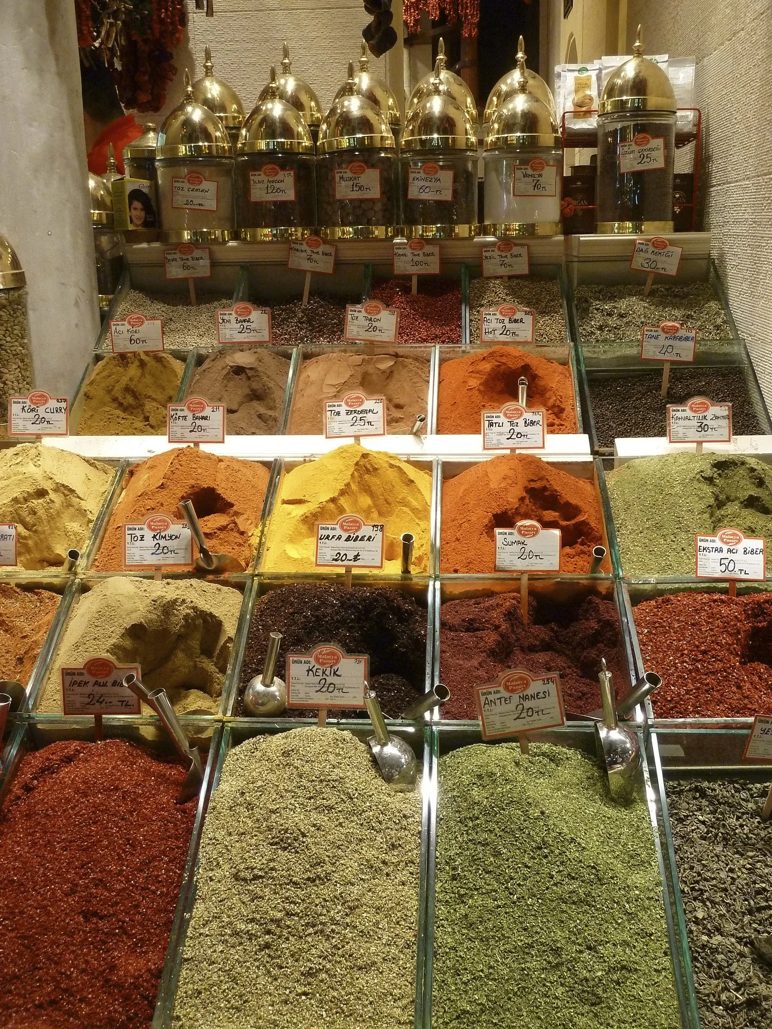 P1030812.jpg