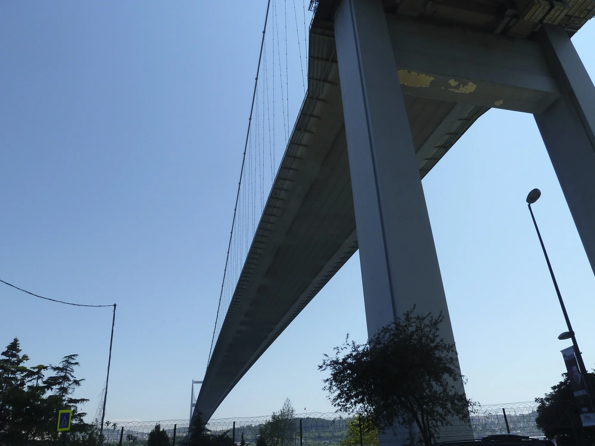 P1030913.jpg