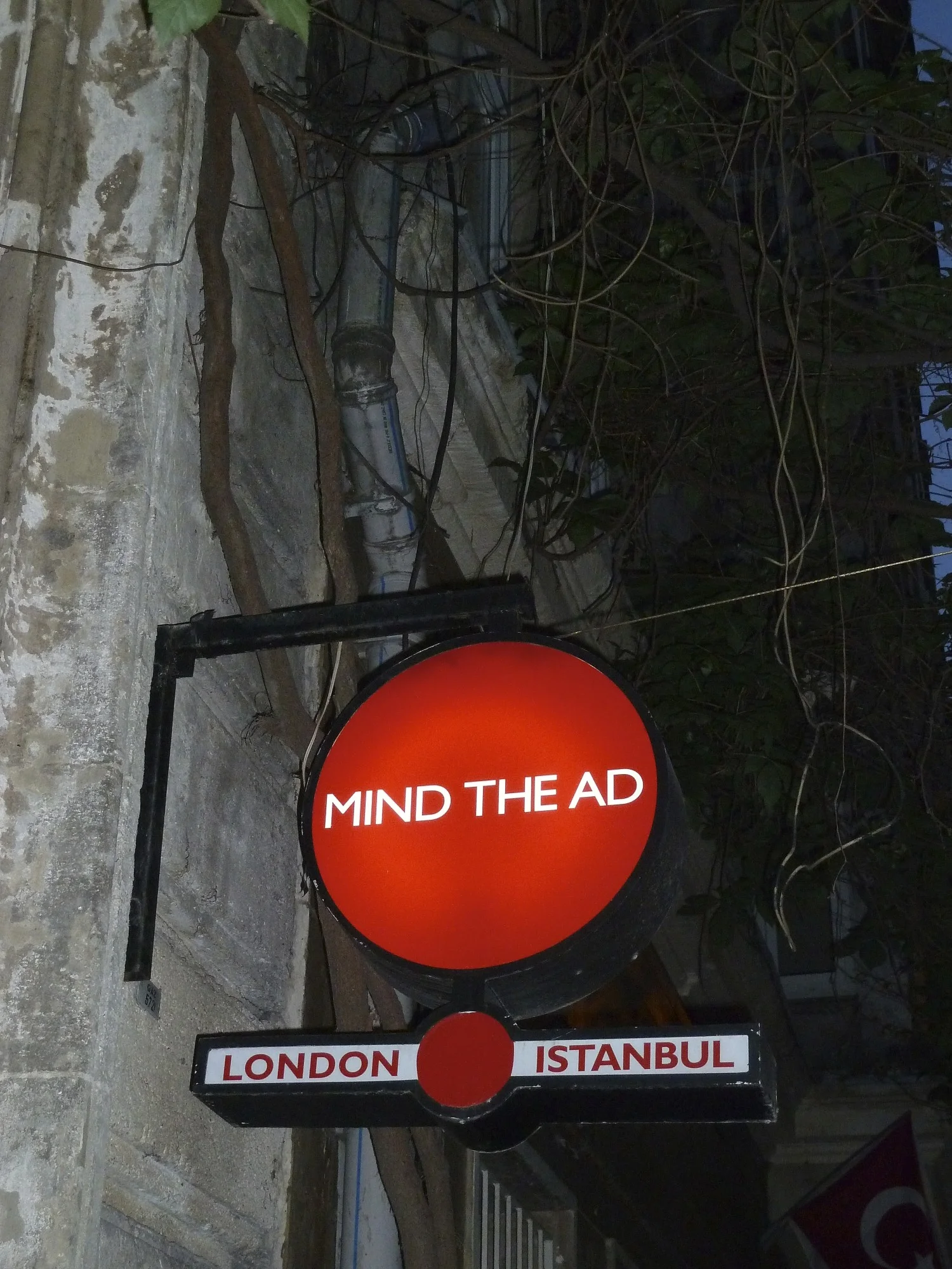 P1030956.jpg