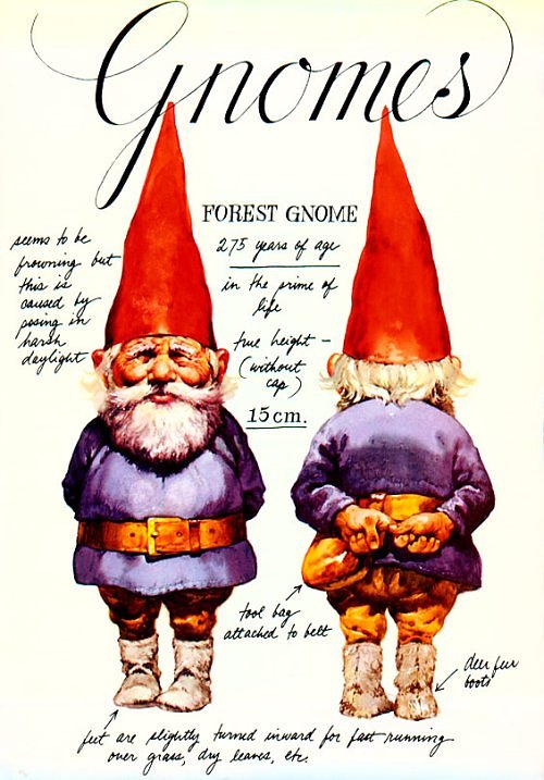 gnomebookcover.jpg