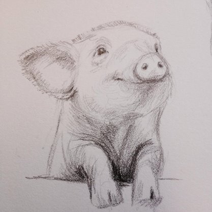 pig.jpg