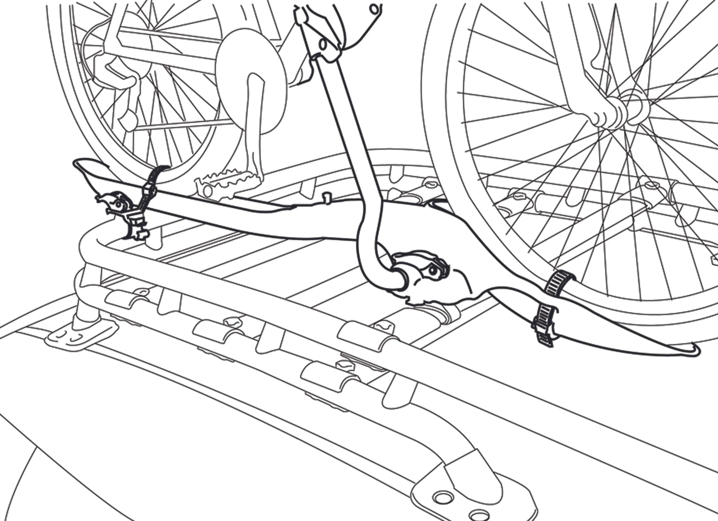 all_illustrations_0004_fj5.jpg