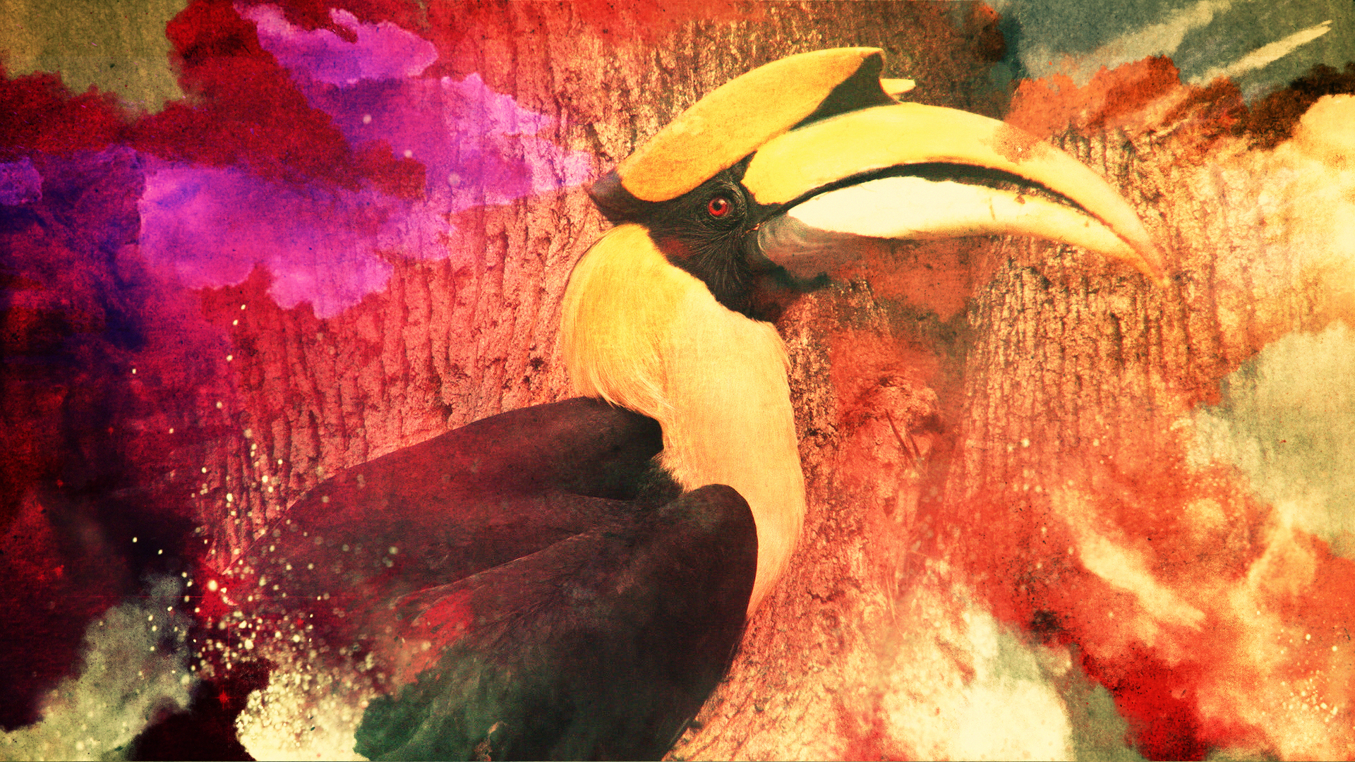 Tucan_Grade (00041).jpg