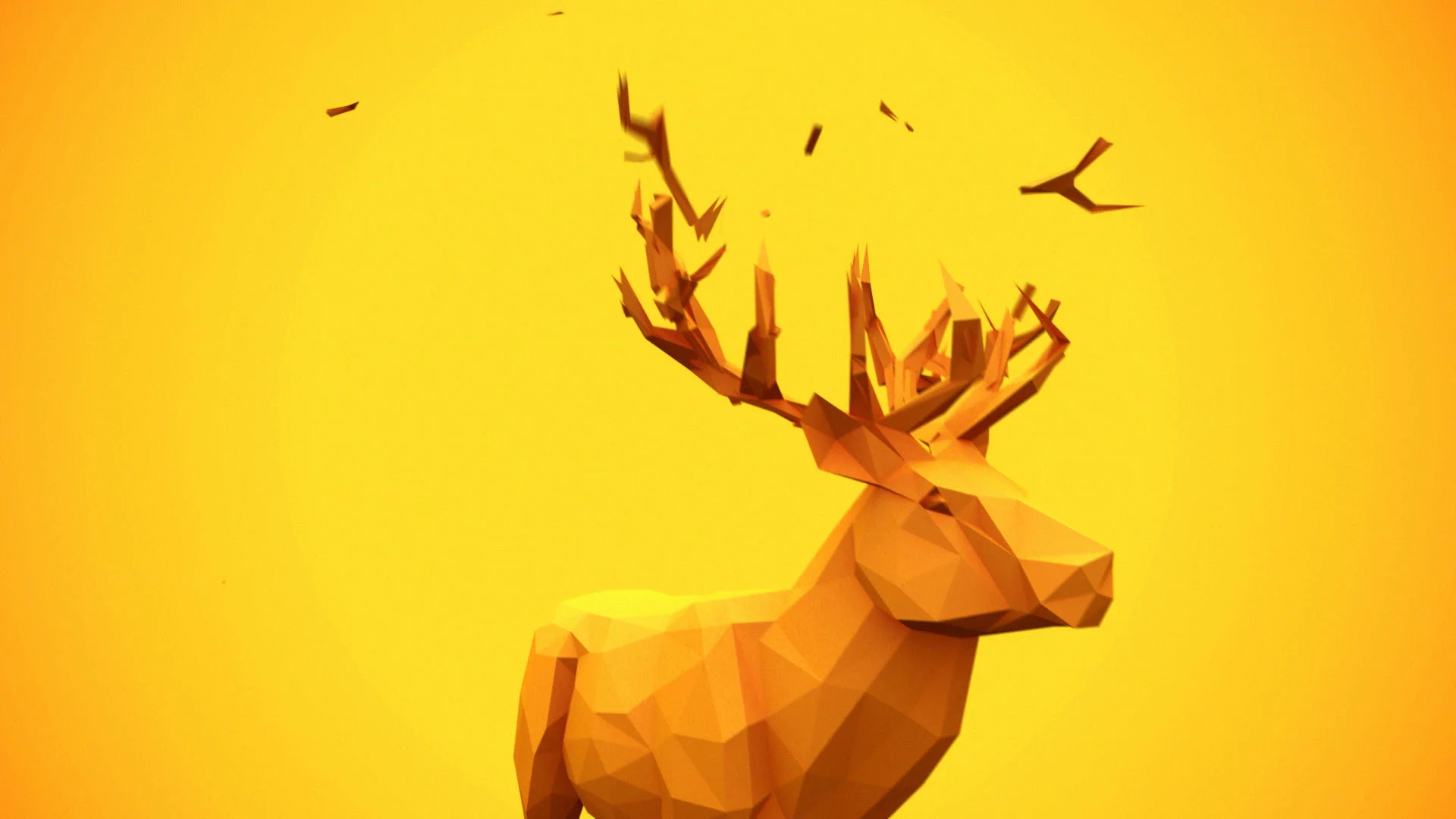 Titles_Audio (0.00.08.17).jpg