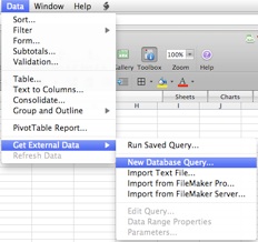 Microsoft Excel1.jpg