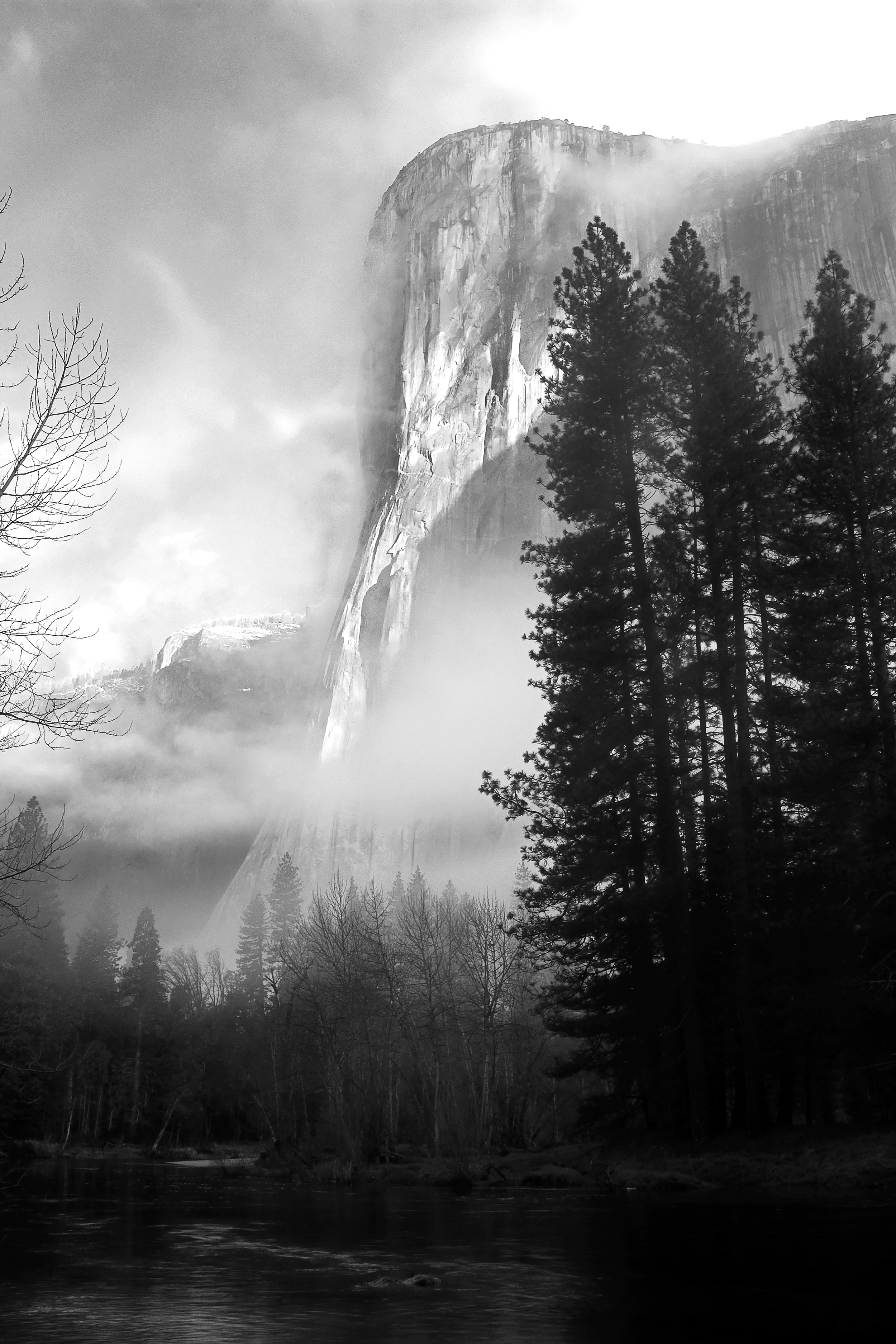 Solitude