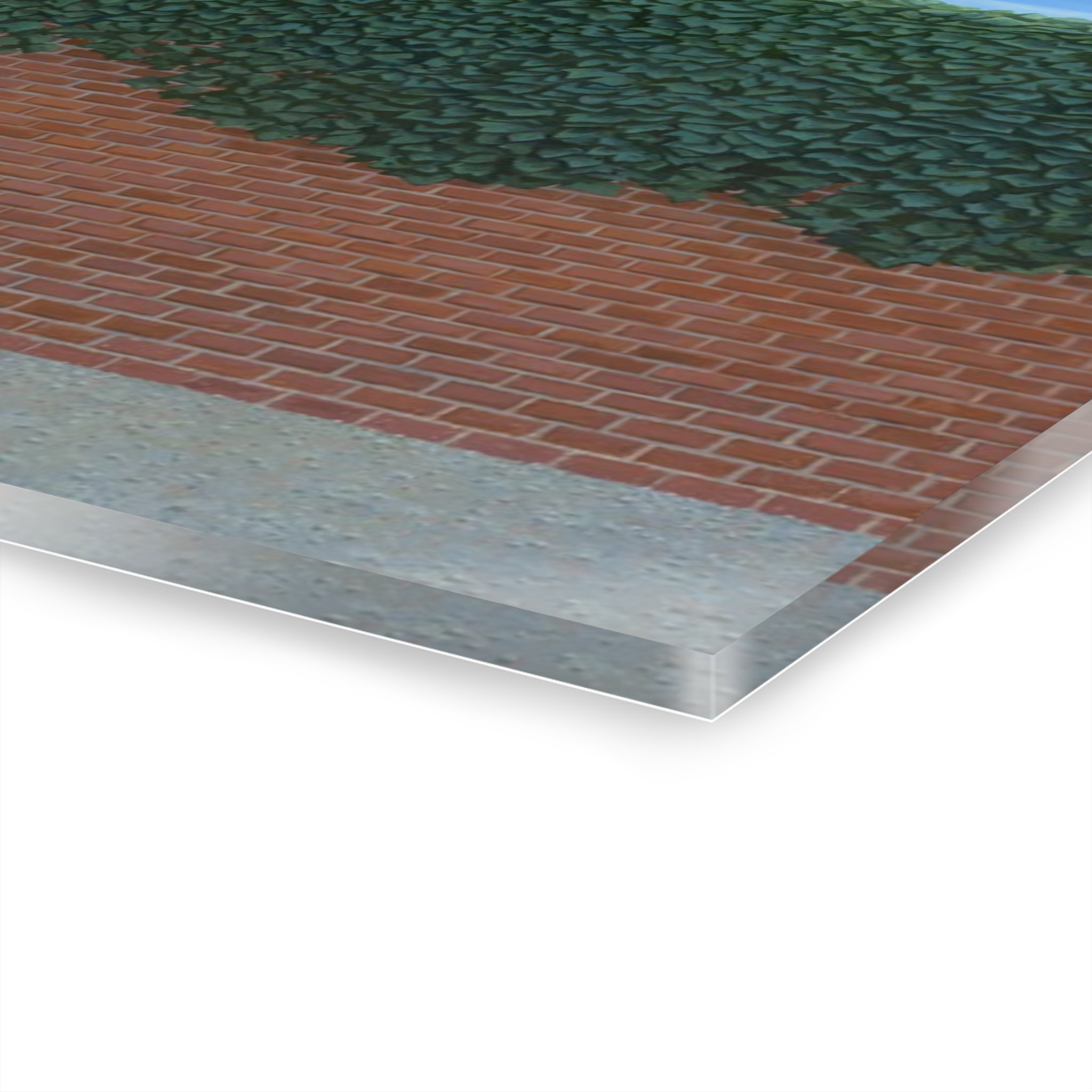 2a319635fa82a7cfdac3d9e10842cc9d