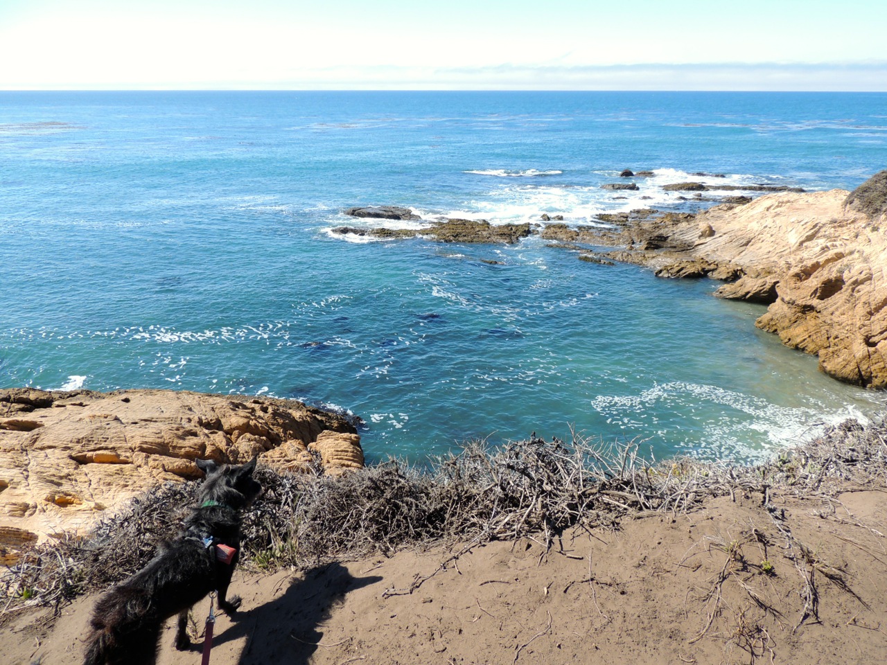 Ella at Smuggler's Cove