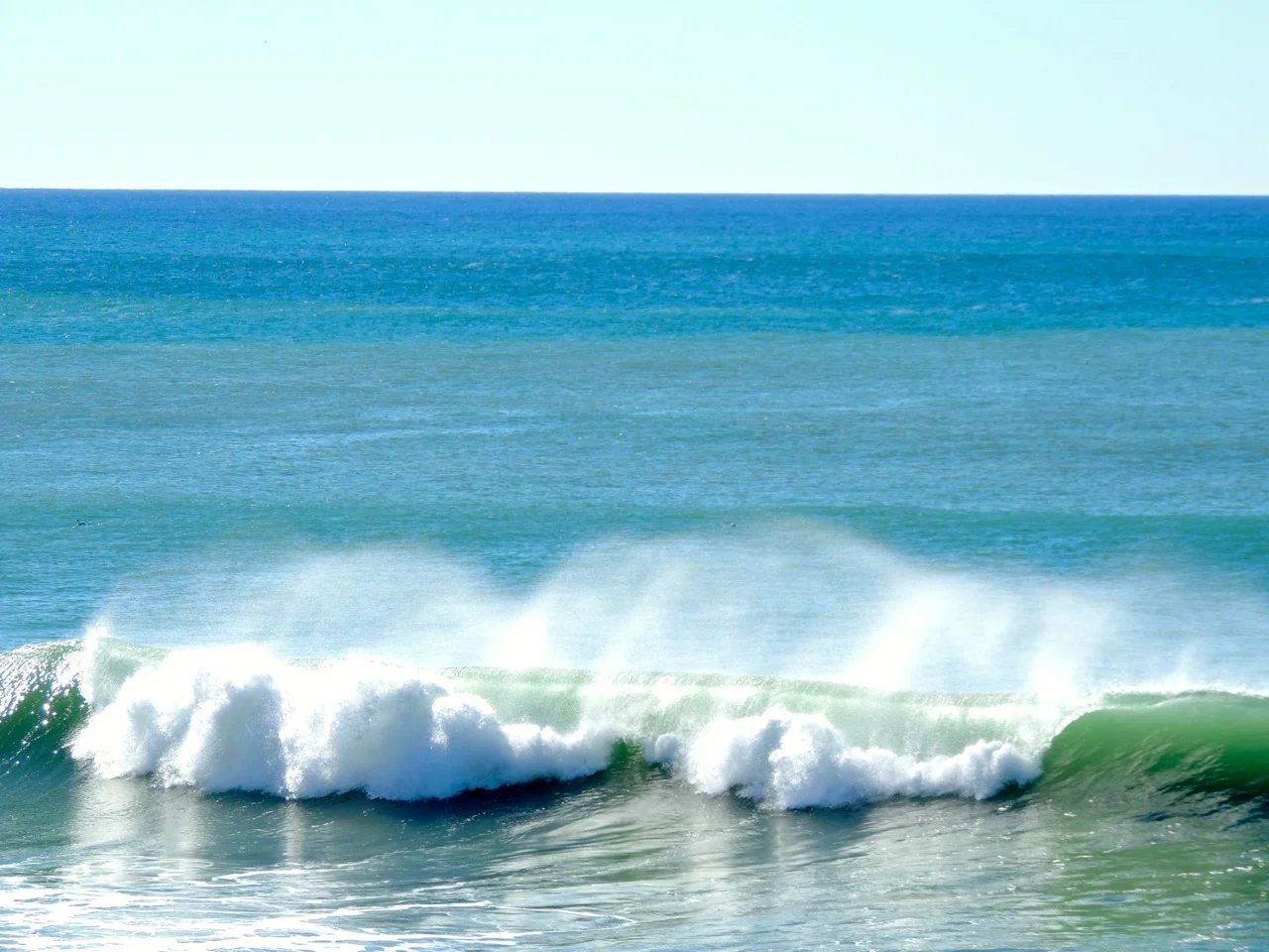 DSCN2513.jpg