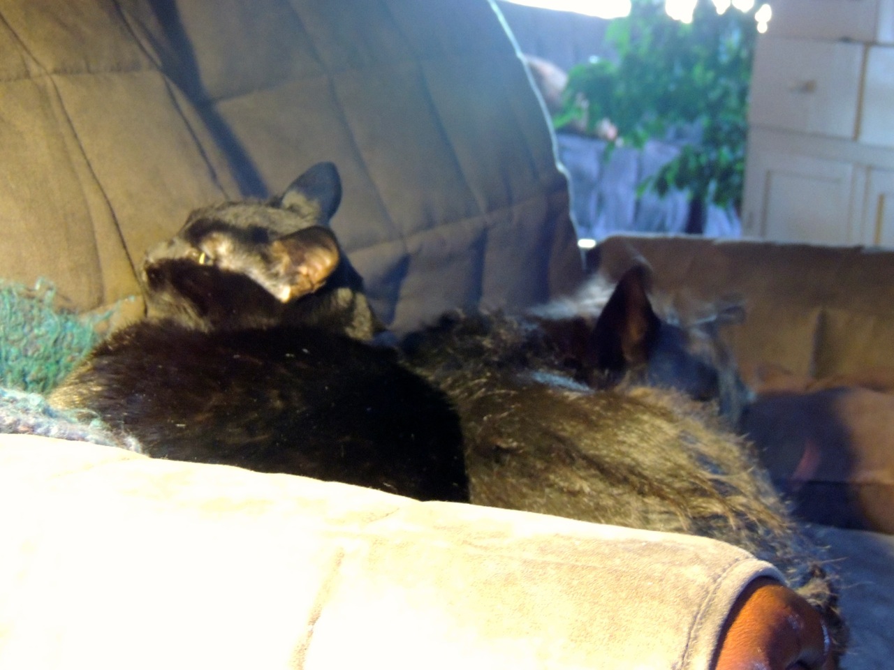 There's a whole other half to that love seat, Jordan.
