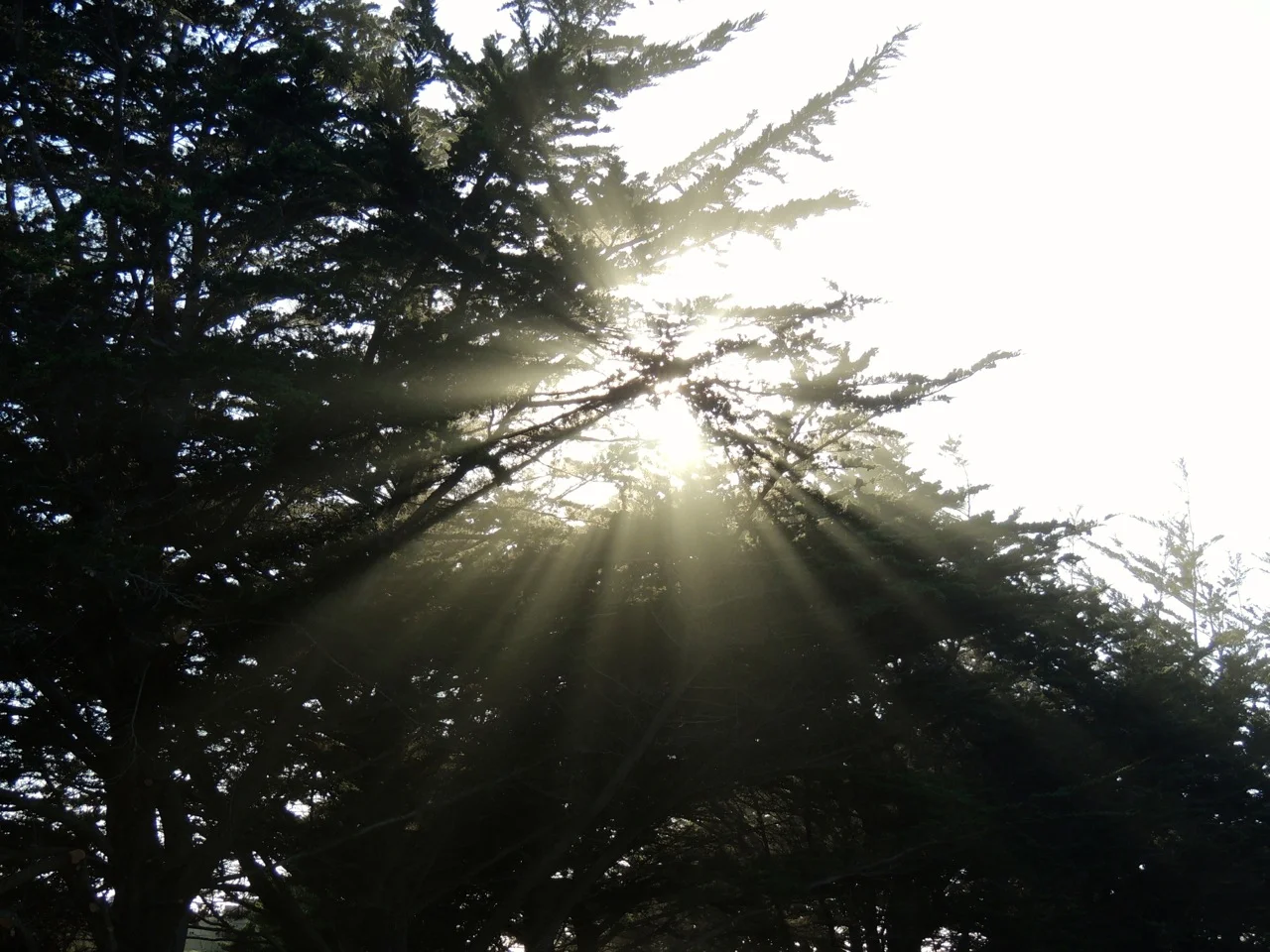 DSCN2588.jpg