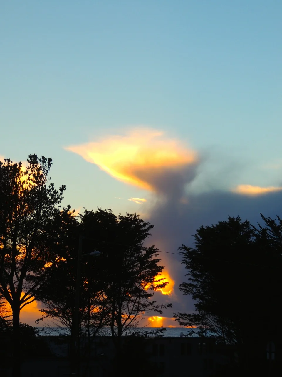 DSCN2826.jpg