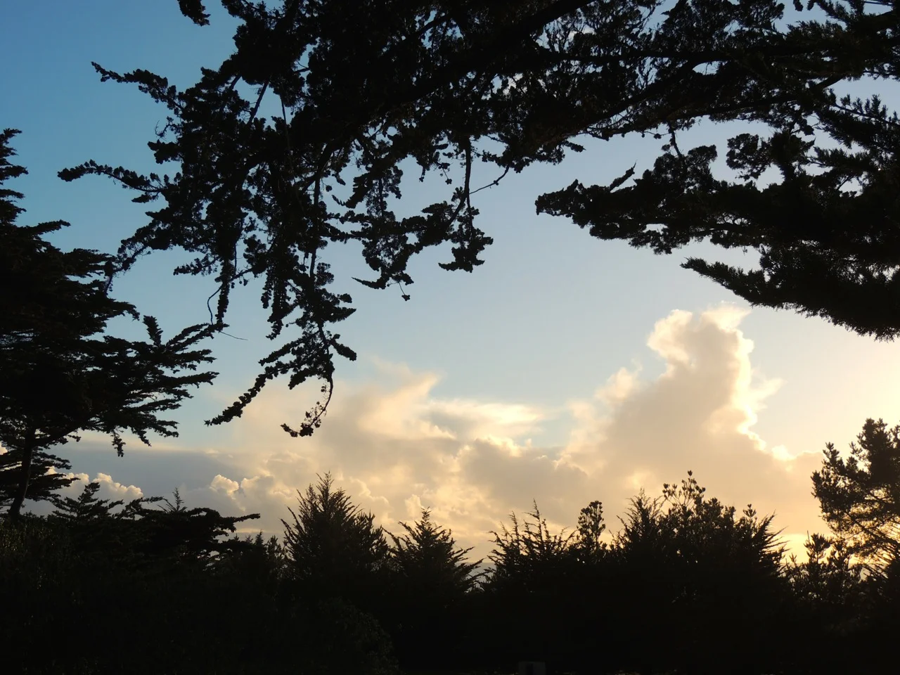 DSCN2824.jpg