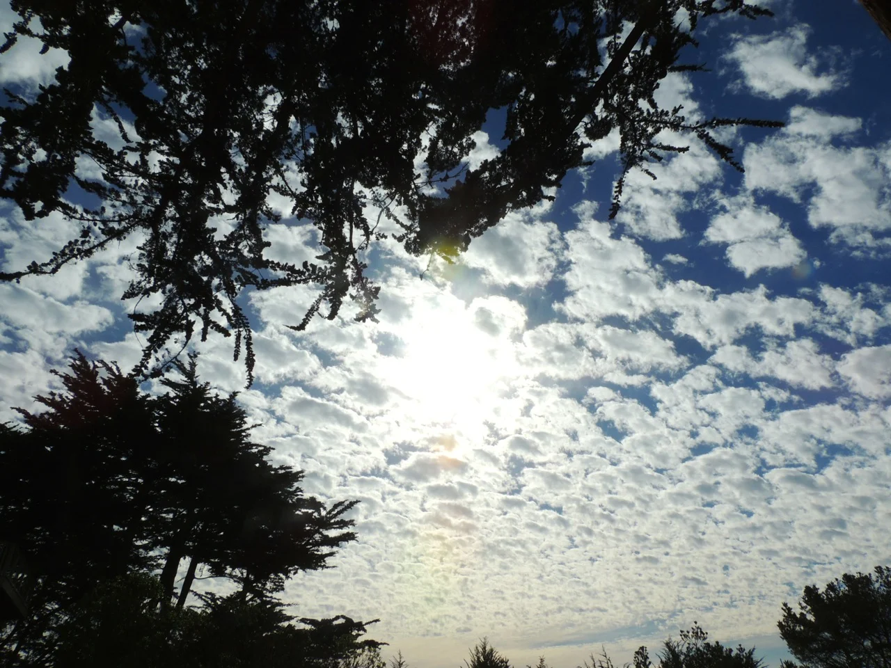 DSCN2831.jpg