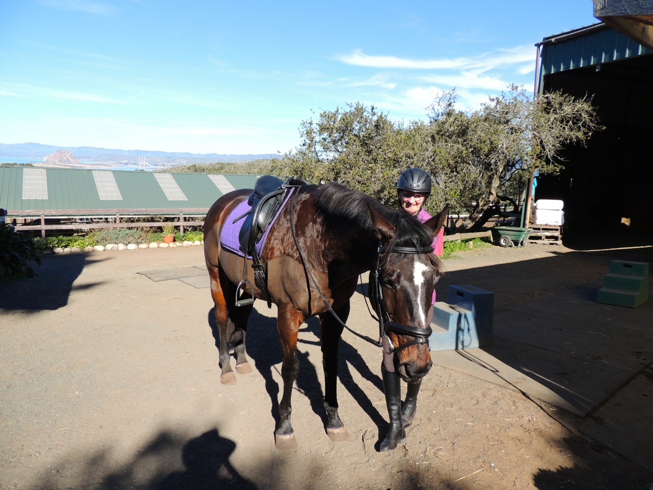 My friend Kathy and her horse Gulliver