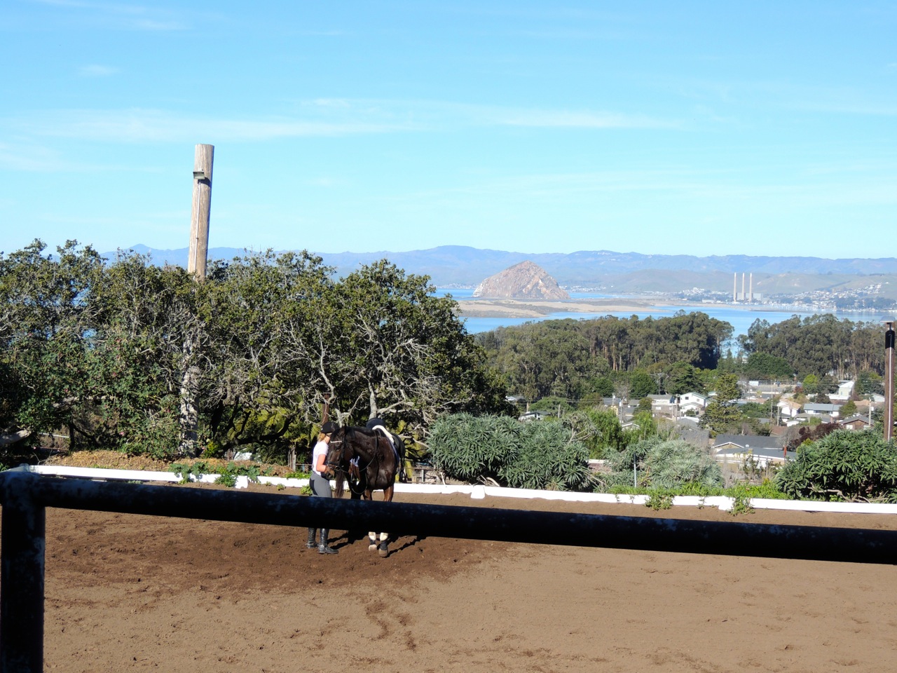The arena with a view of the estuary and Morro Rock 