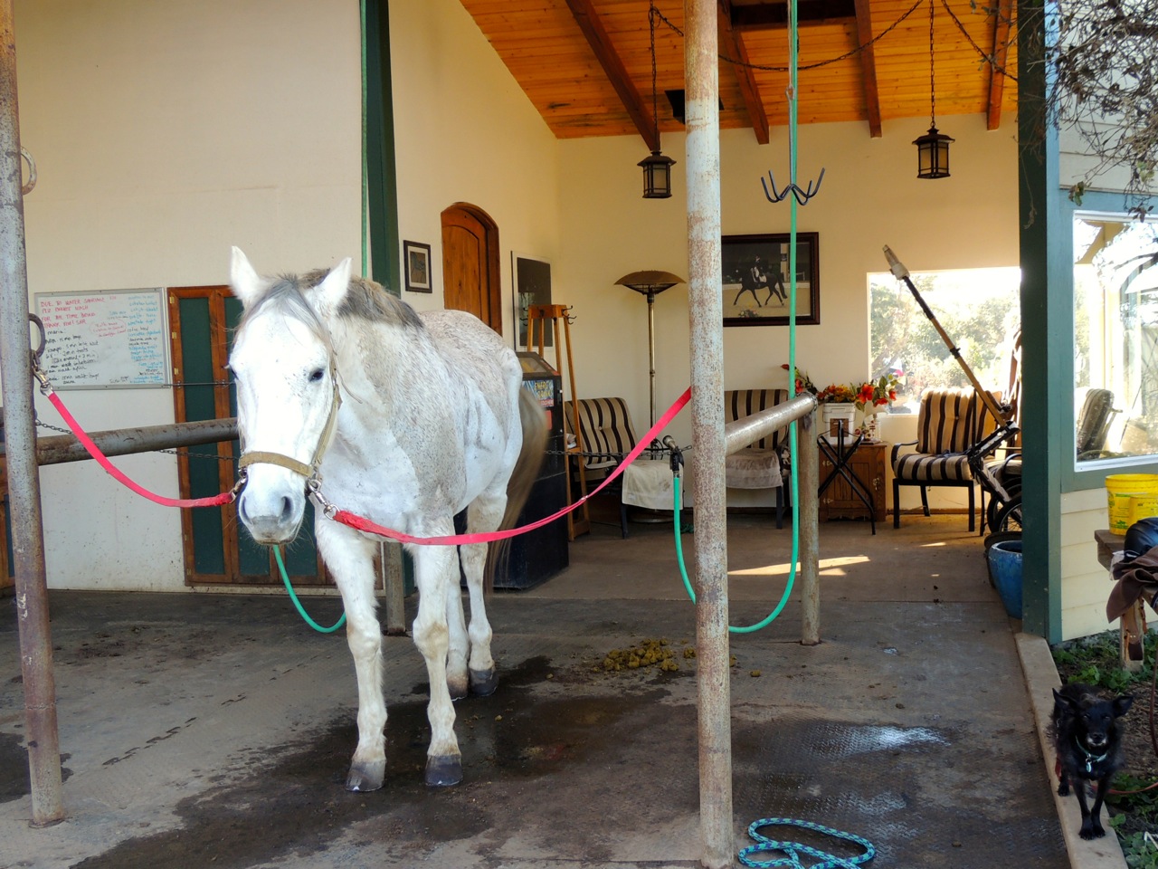 Chance and Ella, waiting for me.