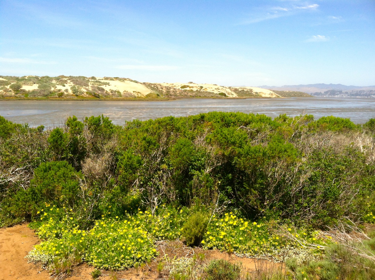 The Back Bay at low tide.