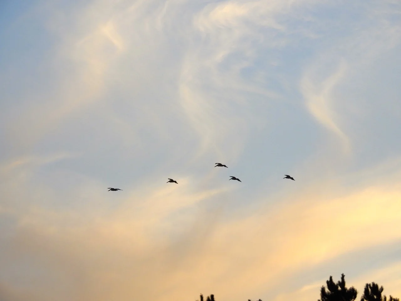 DSCN3178.jpg