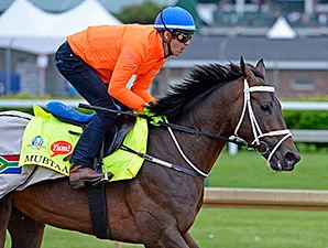 My horse Mubtahij, the bum.