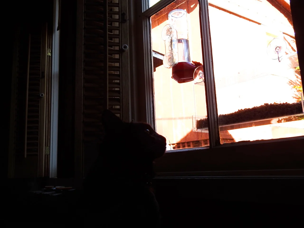 DSCN3515.jpg