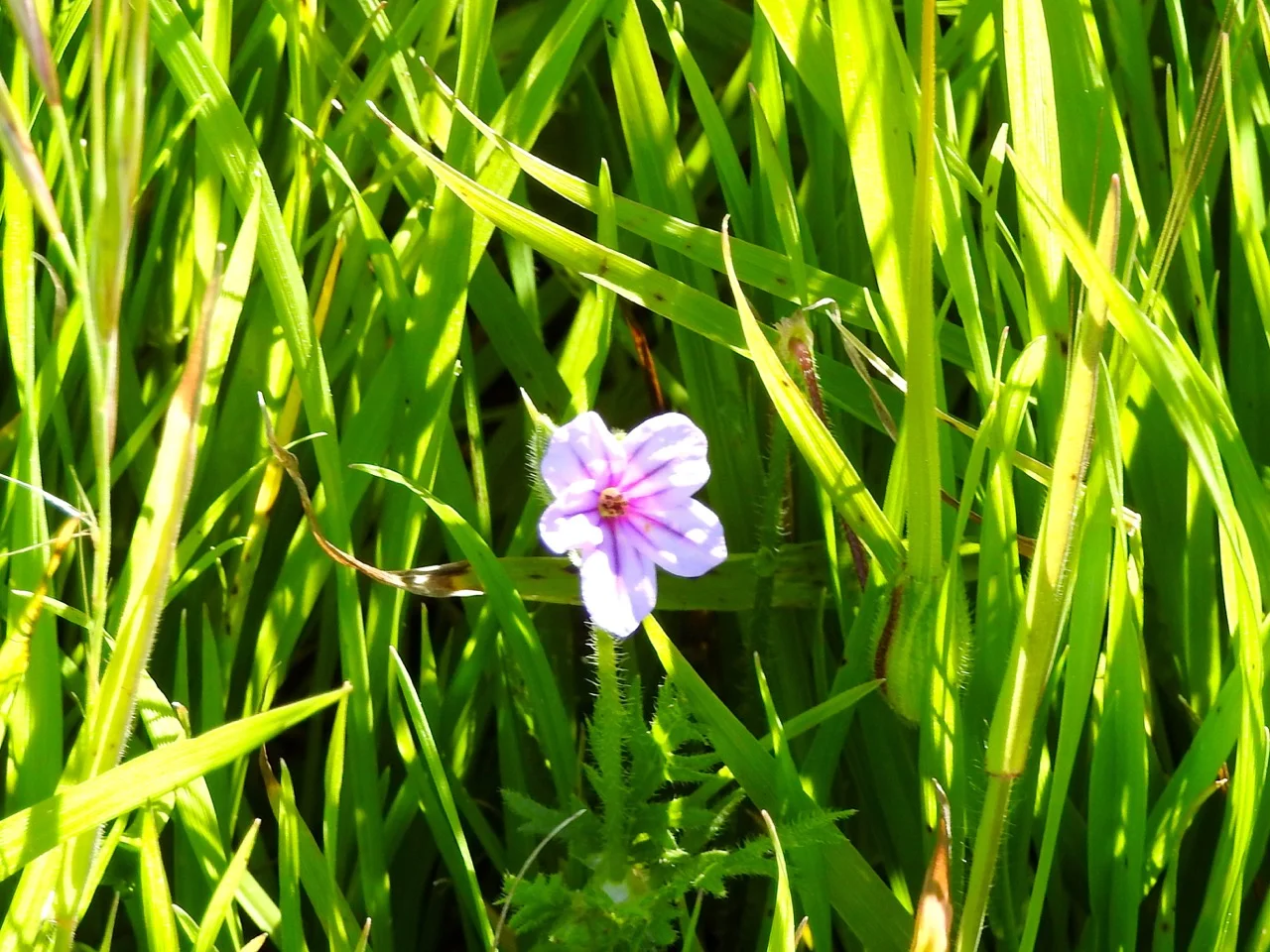 DSCN5976.jpg