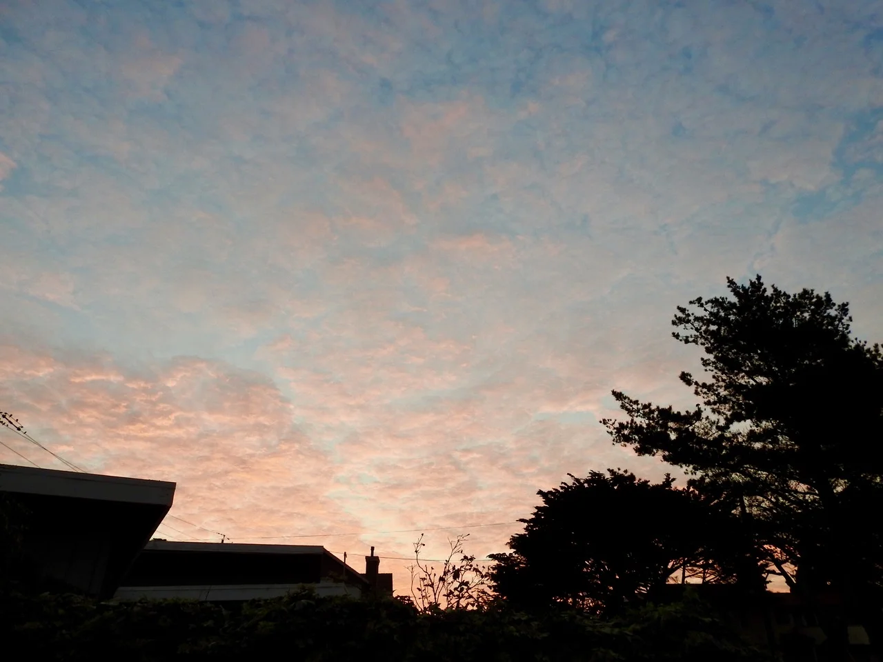 DSCN7659.jpg