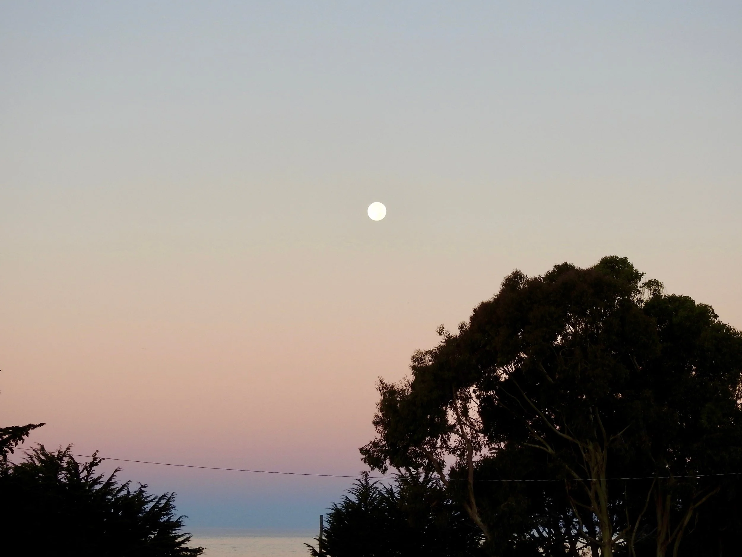 DSCN7851.jpg