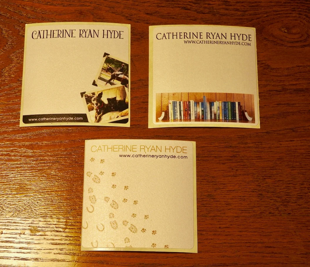 DSCN7862.jpg