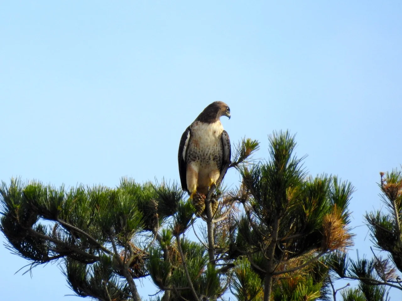 DSCN8007.jpg