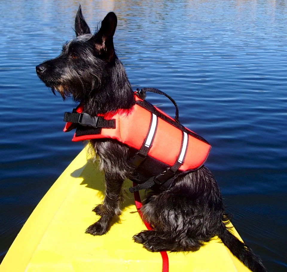 PA040116.jpg