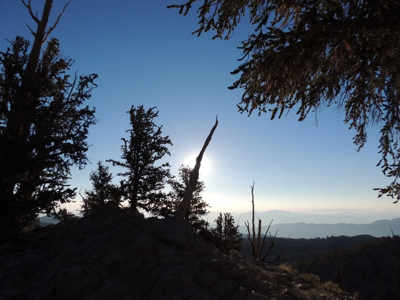 DSCN0864.jpg