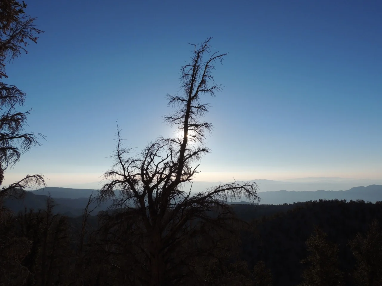 DSCN0865.jpg