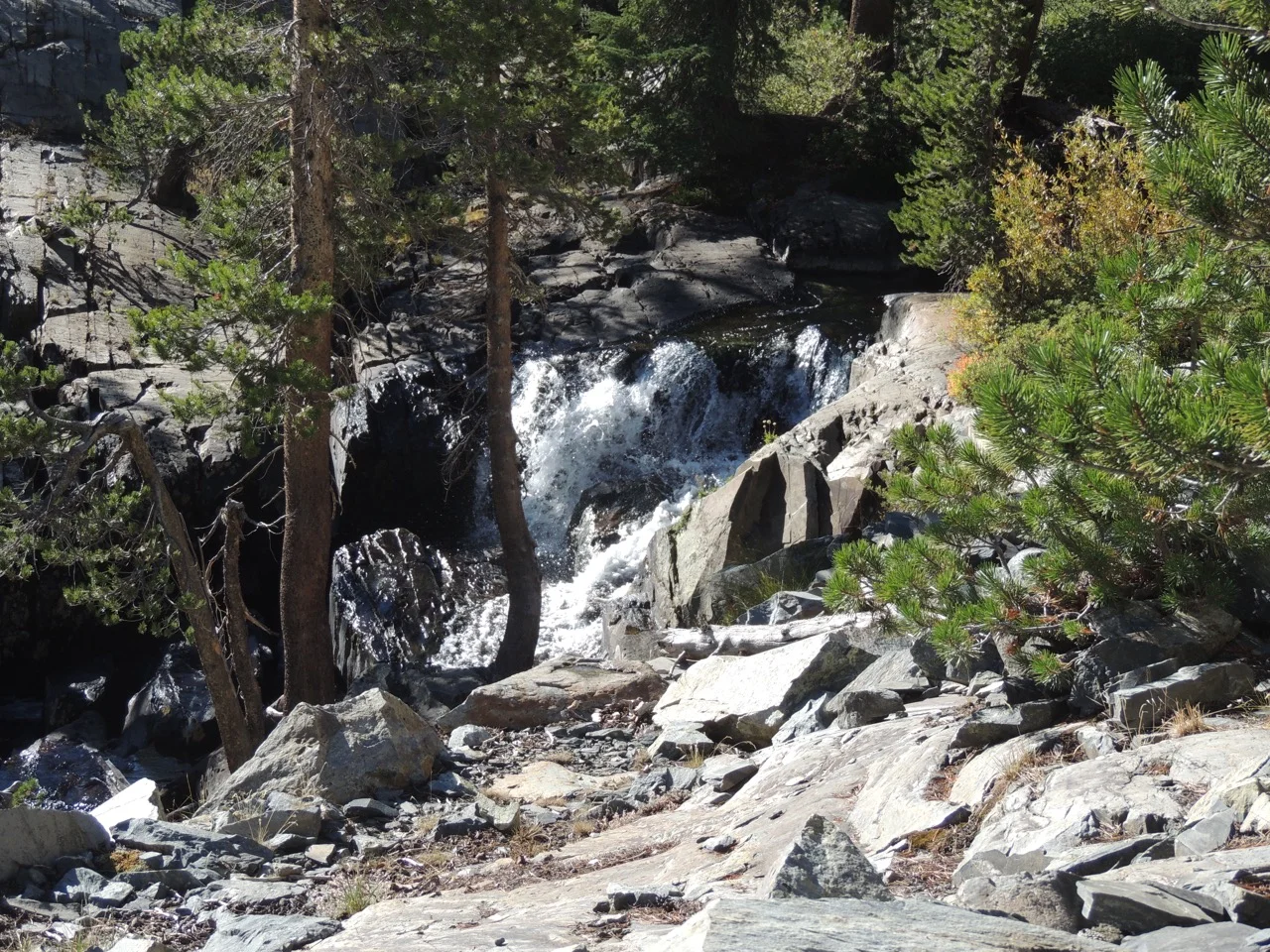DSCN0816.jpg