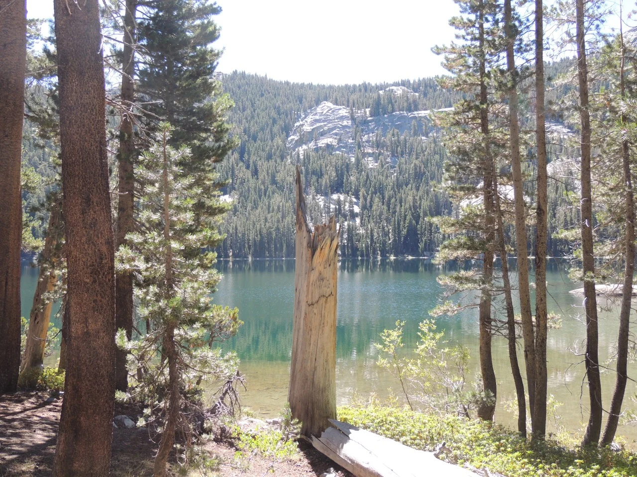 DSCN0833.jpg