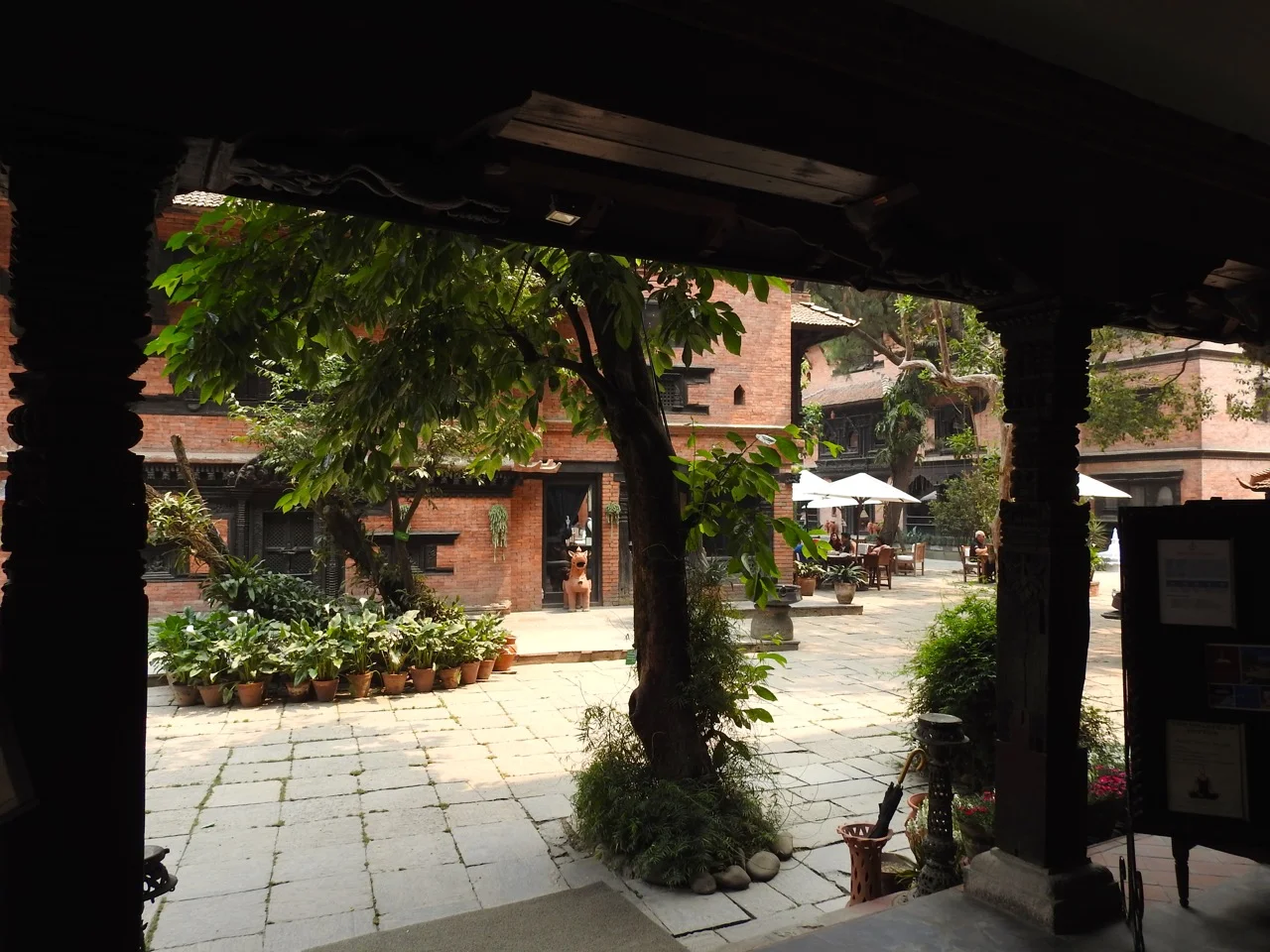DSCN4679.jpg