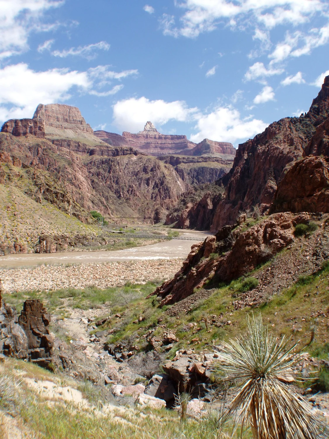 -Colorado River.jpg