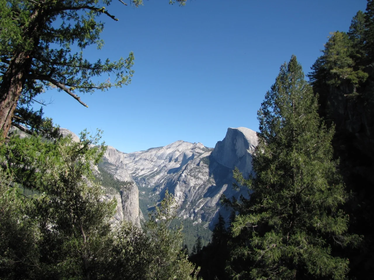 IMG_5091.jpg