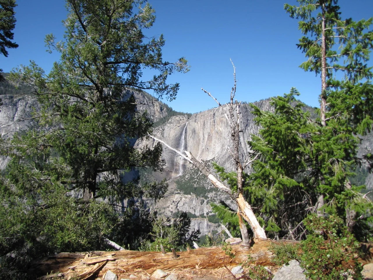 IMG_5092.jpg
