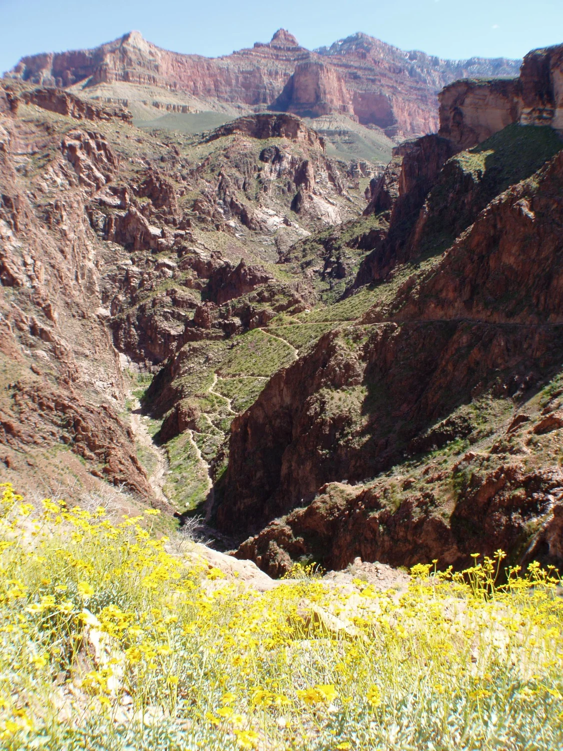 Looking back at the Inner Gorge.jpg