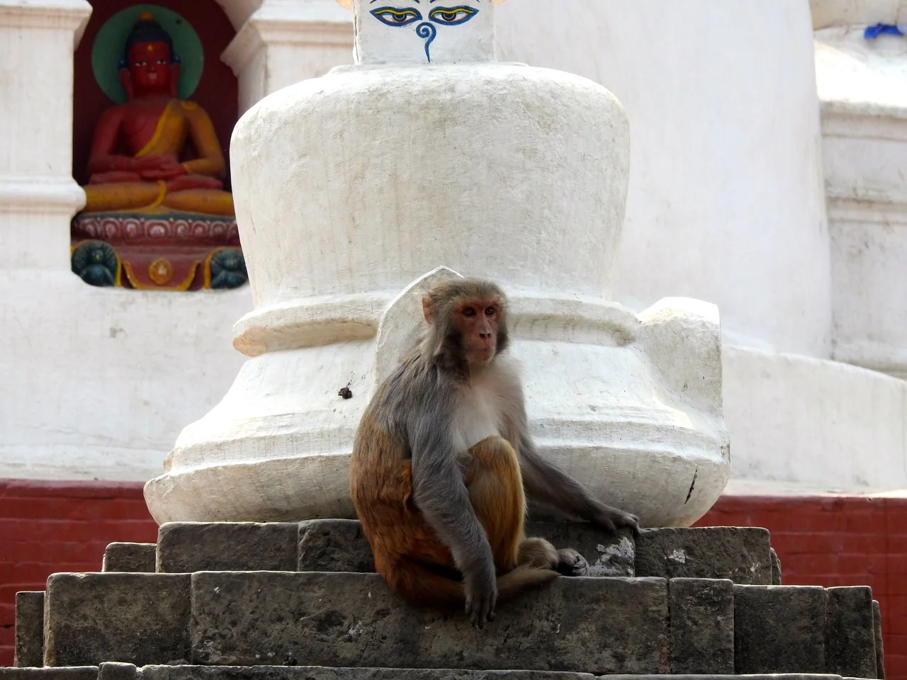 DSCN4720.jpg