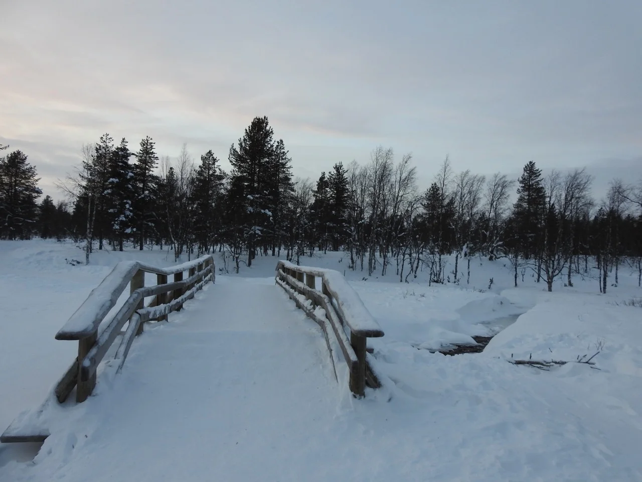 DSCN8472.jpg
