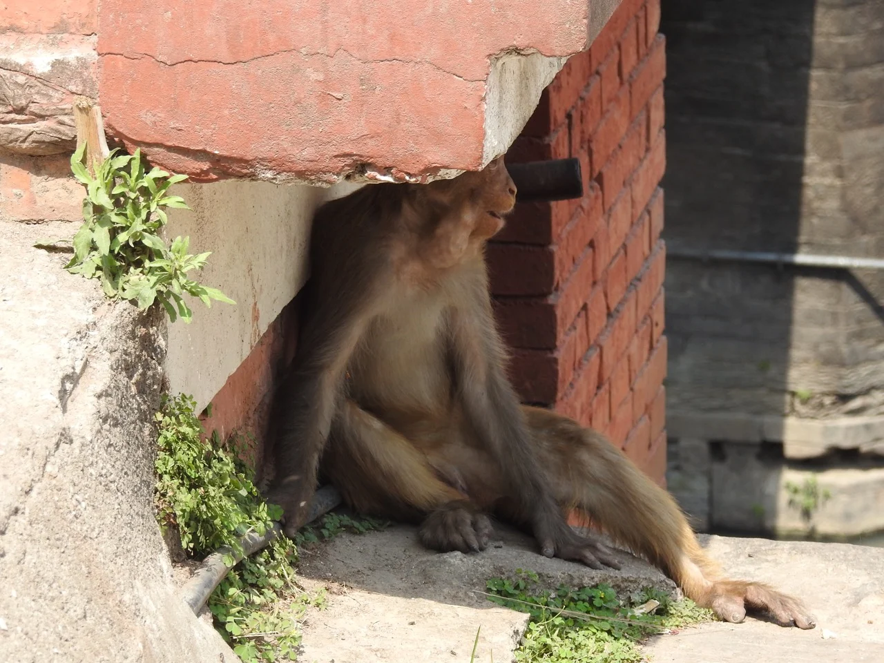 DSCN6076.jpg