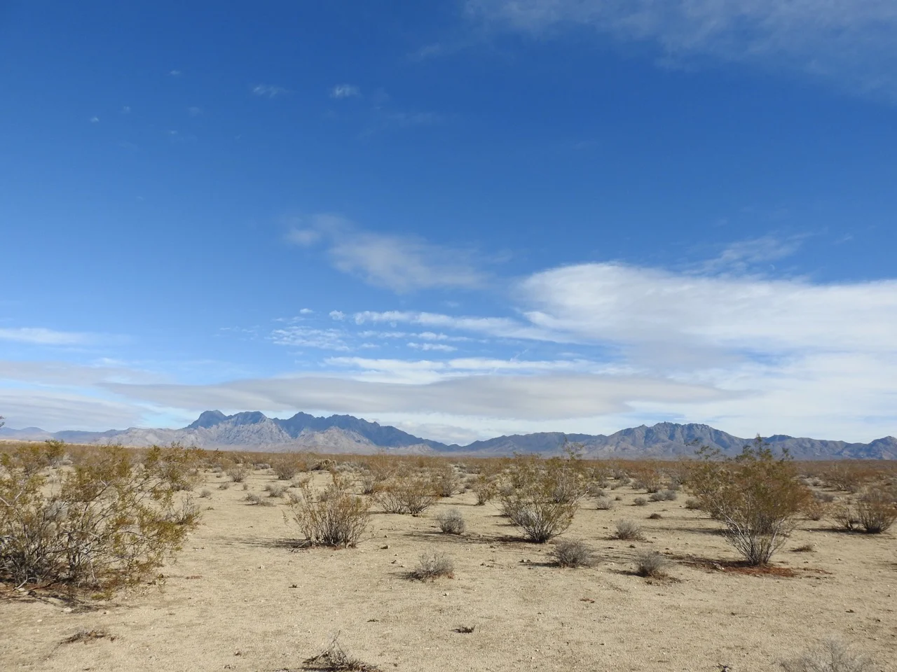 DSCN5320.jpg