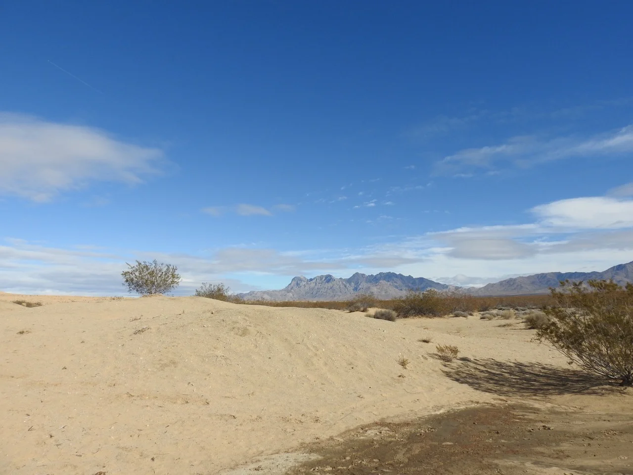 DSCN5324.jpg
