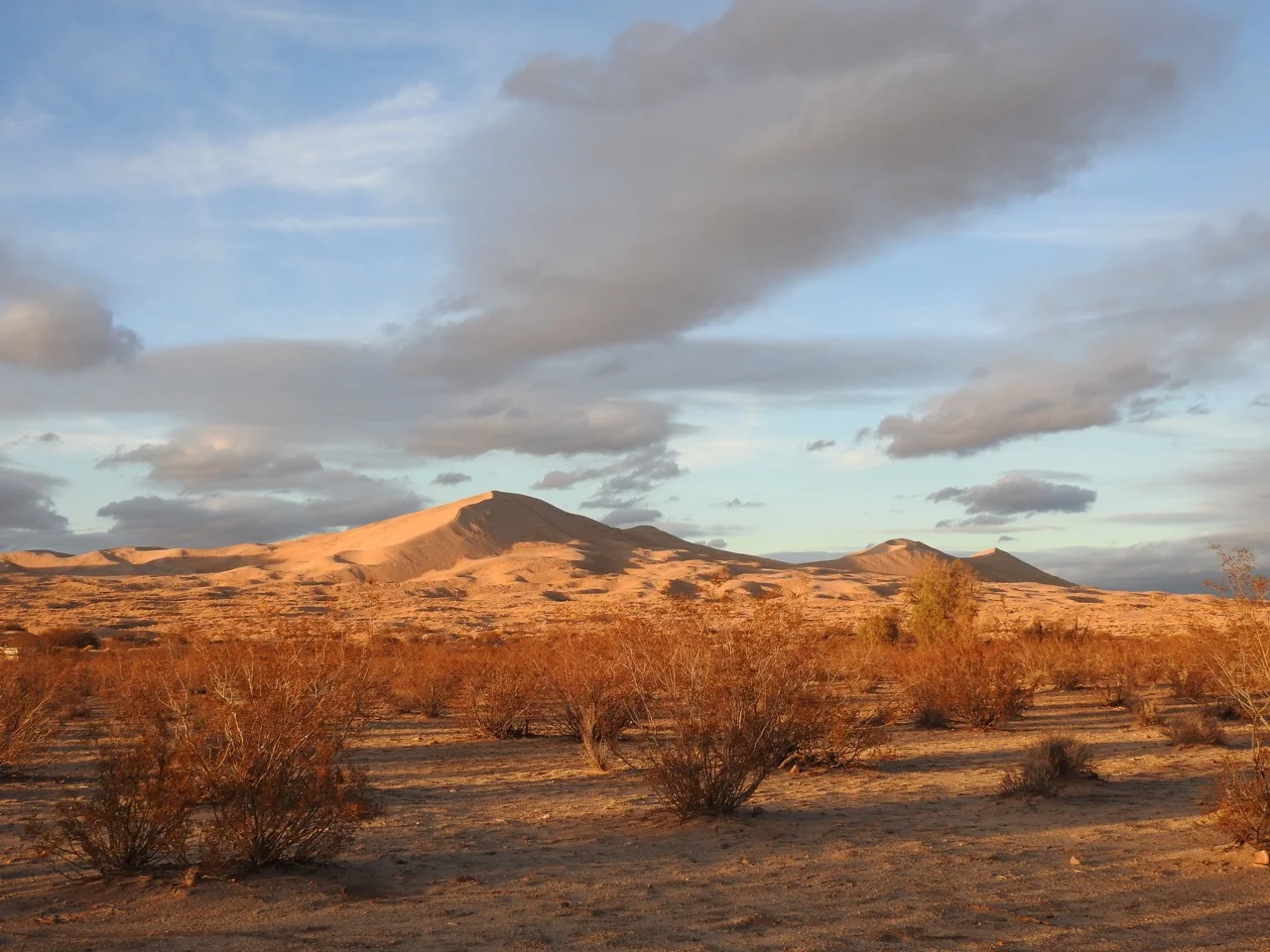 DSCN5340.jpg