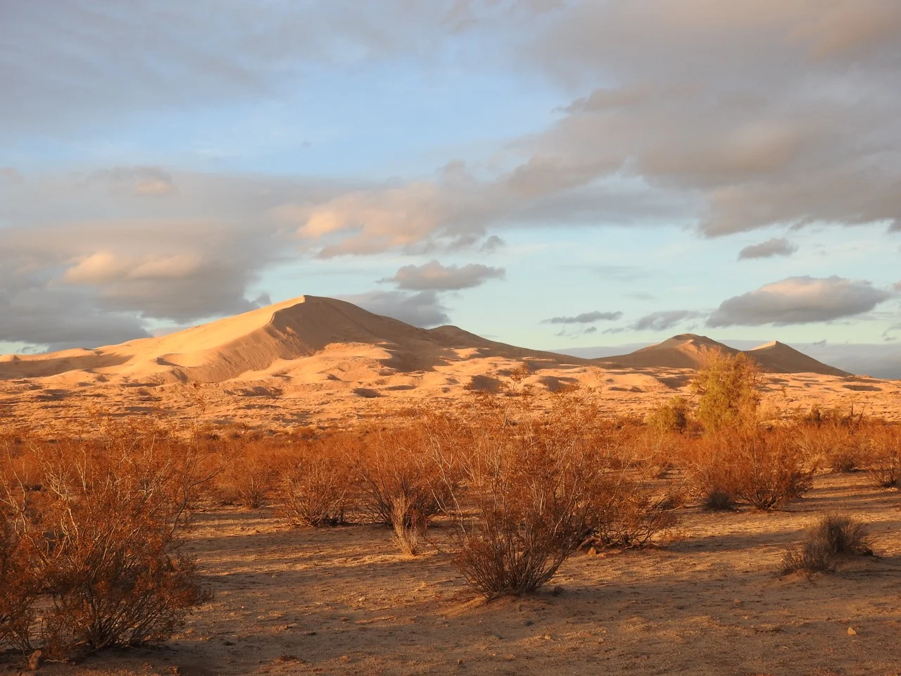 DSCN5349.jpg