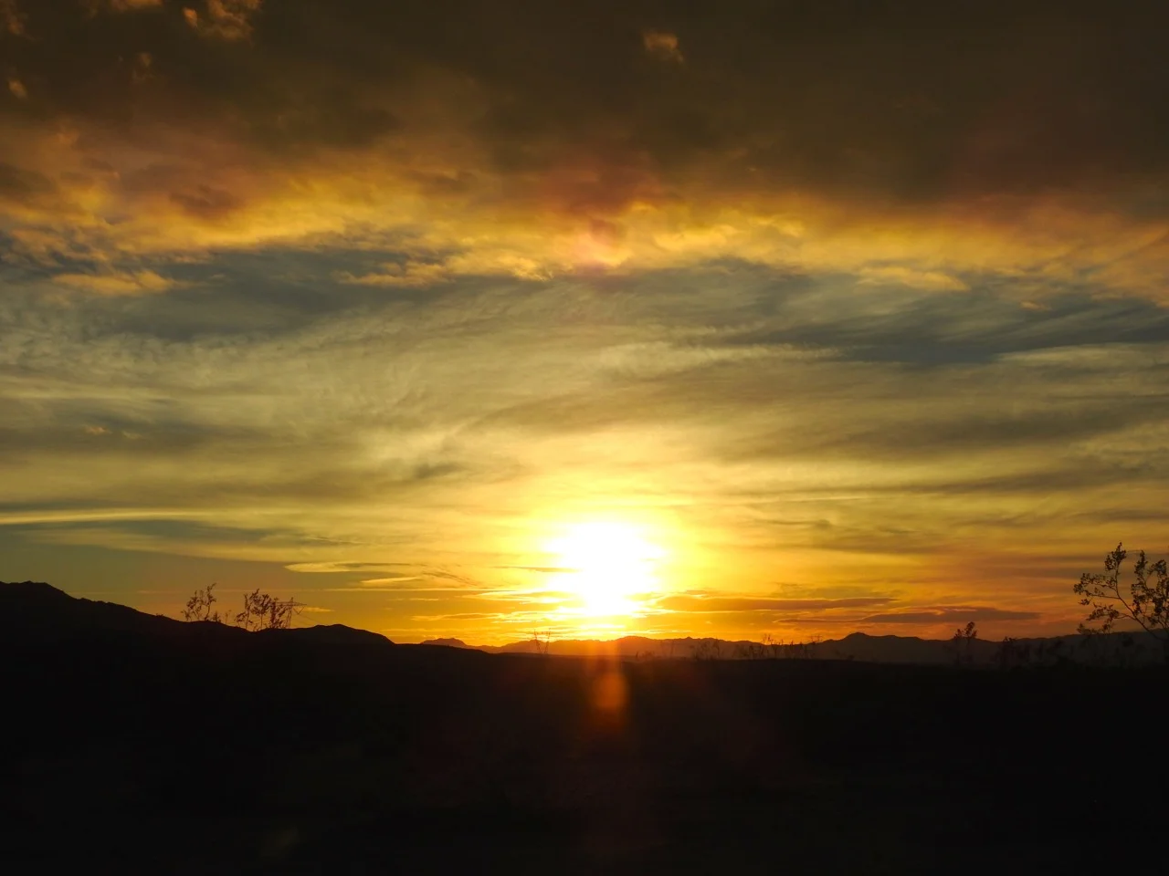 DSCN5352.jpg
